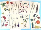 Natuur poster - poster botanisch - Set van A4 posters - 8 A4 posters per set