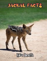 Jackal Facts