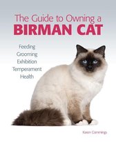 Guide to Owning a Birman Cat