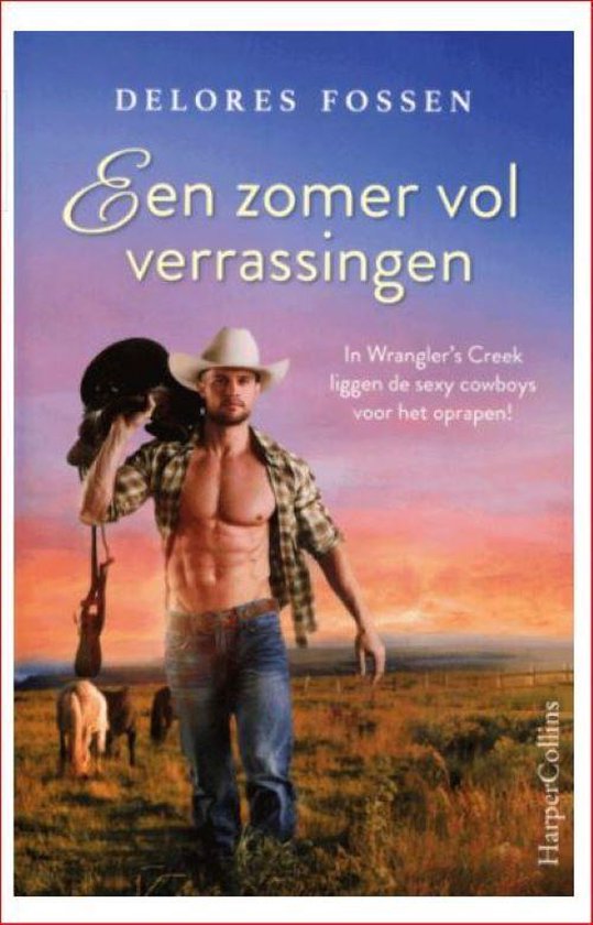Een man met een cowboyhoed en een open geruit hemd in een veld bij zonsondergang, met de titel 'Een zomer vol verrassingen'.