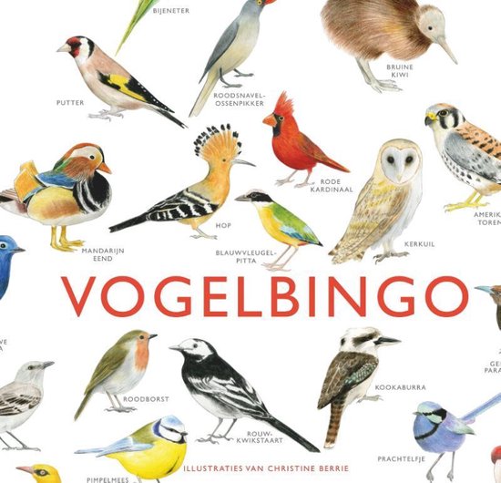 Vogelbingo Games |