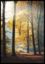 Poster Forest - 30x40 cm - Natuur Poster - WALLLL