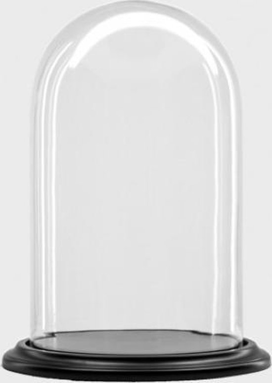 Glazen stolp met zwart houten voet H 25 cm D 19 cm | bol.com