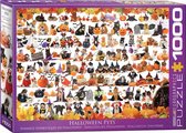 Eurographics puzzel Halloween Puppies and Kittens - 1000 stukjes