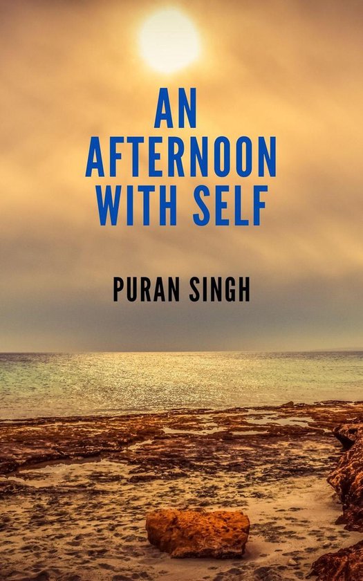 An Afternoon with Self - cover