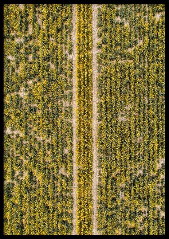 Poster Veld - Natuur Poster - WALLLL