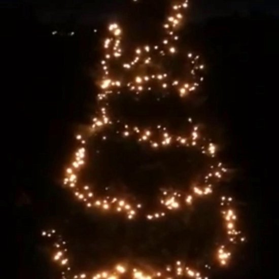 Nedis Kerstboomverlichting - 13,5 meter - 180 LED's - Warm wit - Binnen &  buiten | bol.com