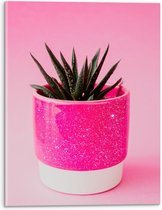 Acrylglas - Neon Roze Plantenpotje - 30x40cm Foto op Acrylglas (Met Ophangsysteem)