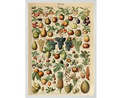 Poster In Witte Lijst - Vintage Fruit - Groenten en Planten 