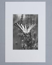 Passe Partout 40X50 Wit - Fotomaat 30x40 cm