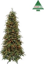 Triumph Tree Abies Nordmann Deluxe kerstboom - Groen - 624 LED lampjes - 230 x 135 cm
