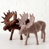 eland / rendier Bruny groot set van 2 stuks