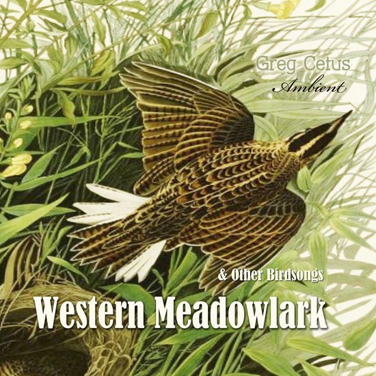 Western Meadowlark and Other Bird Songs - cover