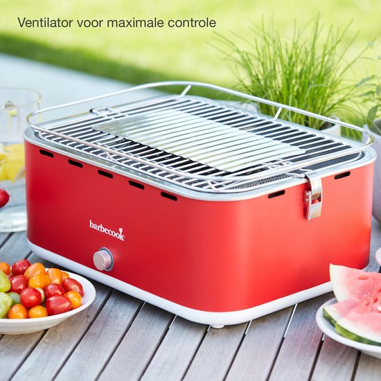 Rode tafel BBQ met zilverkleurig grillrooster, met salade en watermeloen ernaast.