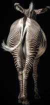 Zebra 180 x 120  - Dibond