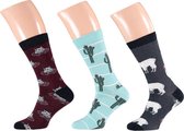 Apollo Animal Socks | 3-Pack Giftbox | Maat 41-46
