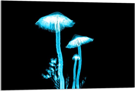 Acrylglas - Blauwe Schimmels - 90x60cm Foto op Acrylglas (Met Ophangsysteem)