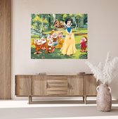 JDBOS ® Schilderen op nummer Volwassenen met frame (hout) - Sneeuwwitje met de 7 dwergen - Verven volwassenen - 40x50 cm