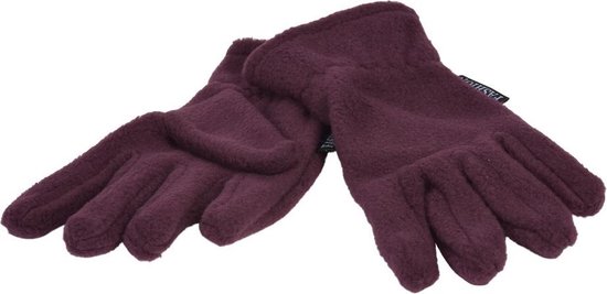 P&T Handschoenen Kinderen - Micro Fleece - Donker Paars - 3-4j