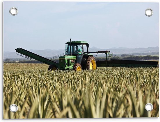 Tuinposter – Tractor met Boer - 40x30cm Foto op Tuinposter  (wanddecoratie voor buiten en binnen)