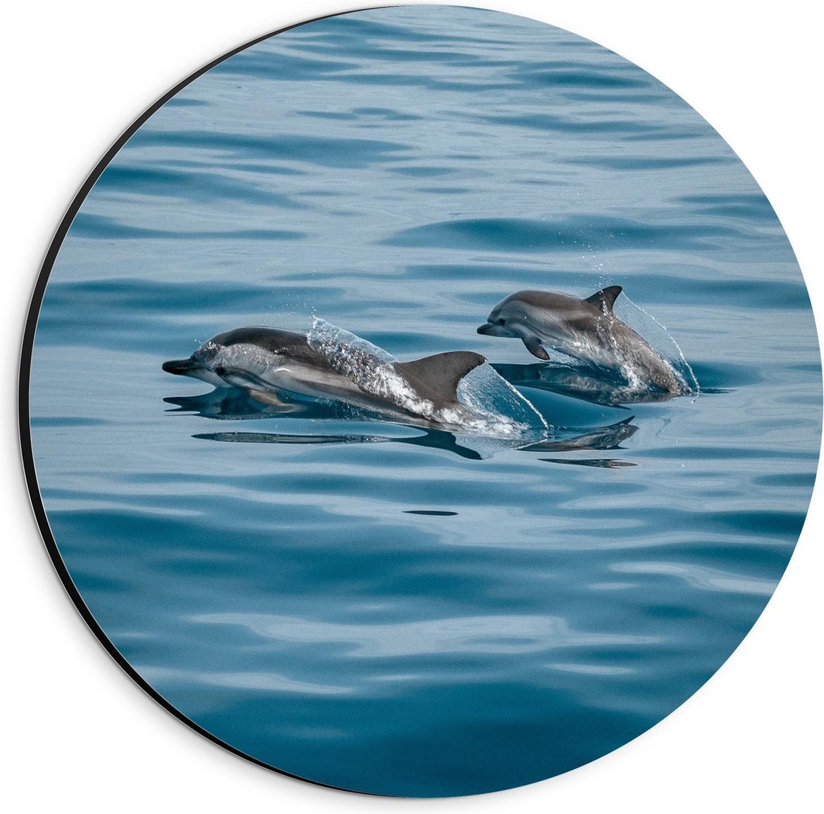 Dibond Wandcirkel - Moeder met Baby Dolfijn - 20x20cm Foto op Aluminium Wandcirkel (met ophangsysteem)