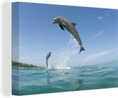 Canvas Schilderij Dolfijn hoog boven het wateroppervlak - 60x40 cm - Wanddecoratie