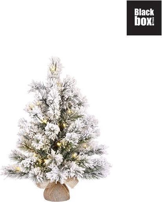 GAMMA | Black Box Trees Maclura Kunstkerstboom met LED Verlichting