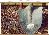 Schoolplaat – Landbouwschep - 120x80cm Foto op Textielposter (Wanddecoratie op Schoolplaat)