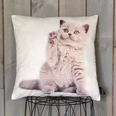 Lekker Zacht Animal Fun Kussenhoes - Kitten
