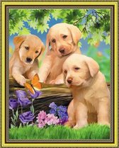 Diamond Painting - Drie Puppies - 40x30 - Volwassenen - Kinderen - Volledig Pakket