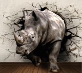 Diamond painting de luxe 40x50 cm - Neushoorn