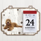 Scheurkalender 2023 Hond: labradodel bruin