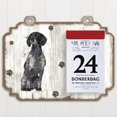 Scheurkalender 2023 Hond: Braque d Auvergne