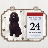 Scheurkalender 2023 Hond: Ierse Water Spaniel