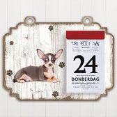 Scheurkalender 2022 Hond: Chihuahua