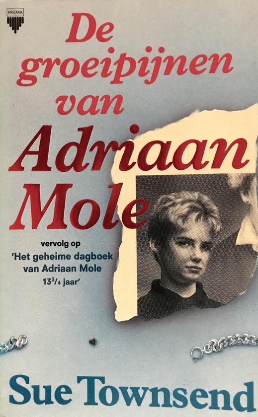 9789027423467 - De groeipijnen van Adriaan Mole
