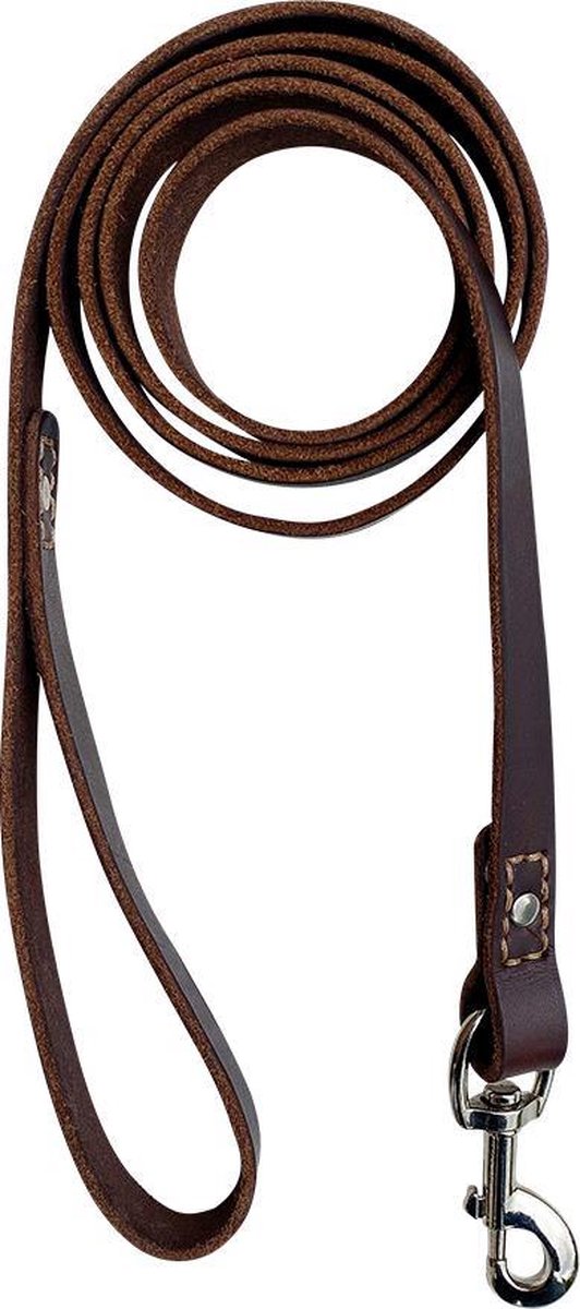 Brute Strength - Hondenriem - 180cm – bruin/zwart - gevlochten leren honden riem – 100% volnerfleer - hond