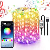 LED Lichtsnoer - 100 Leds - Bedienbaar met App - 10m