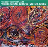 Visible Sound Grooves