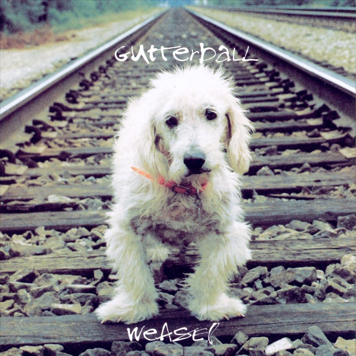 Weasel