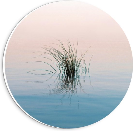 Forex Wandcirkel - Grassen in het Water - 20x20cm Foto op Wandcirkel (met ophangsysteem)