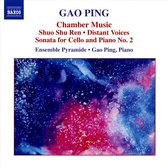 Gao Ping: Chamber Music