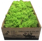 MosBiz Rendiermos gras licht groen per 500 gram voor decoraties, mosschilderijen en bloemstukjes