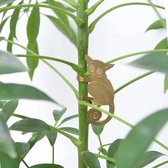 Plant Animals - Bush Baby - Playful Creates For Your Plants!