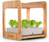 Urban Bamboo Indoor Garden 12 planten 24W led 7 liter bamboe