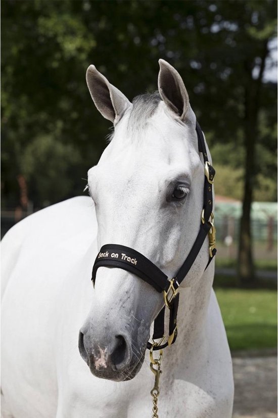 Hobby Horse kopen | Stokpaarden, hoofdstel, halster