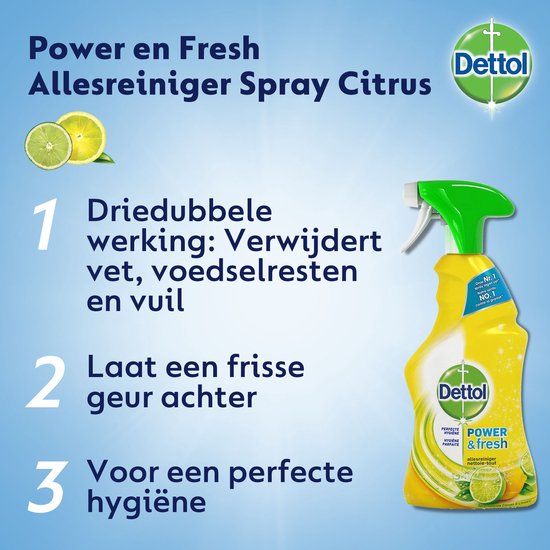 Dettol - Allesreiniger Spray - Power & Fresh - Citrus - 500ml x12 - Voordeelverpakking
