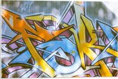 Acrylglas - Geel en Blauwe Graffiti op de Muur - 60x40cm Foto op Acrylglas (Met Ophangsysteem)