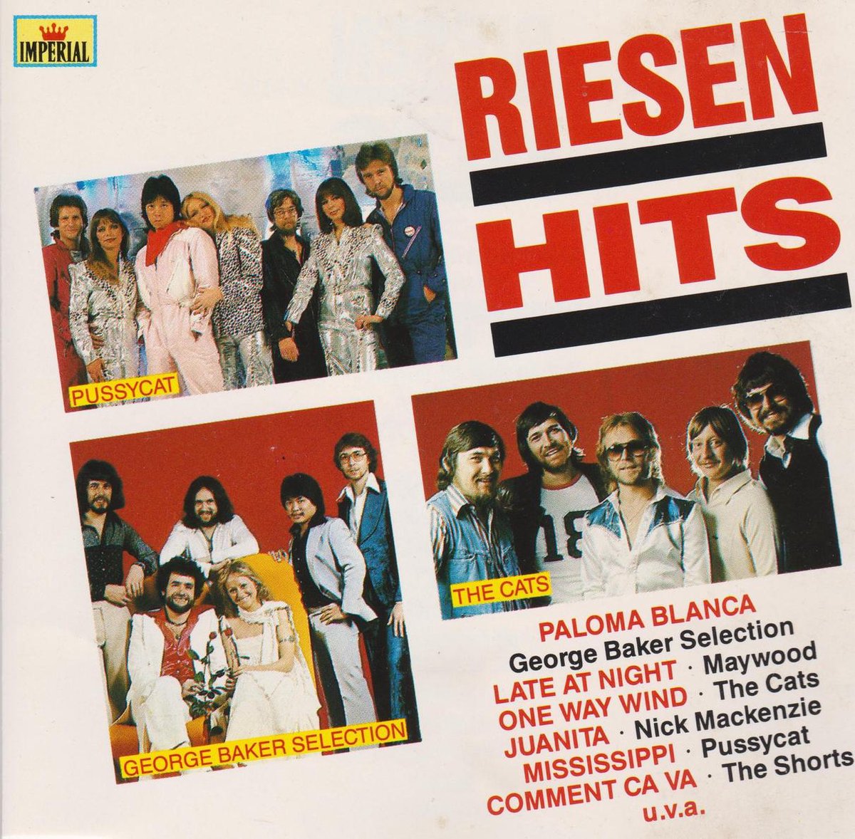 Diverse Artiesten - Riesen Hits