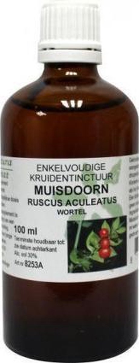 Goedkoopste Ruscus Aculeatus Rad/Muisdoorn